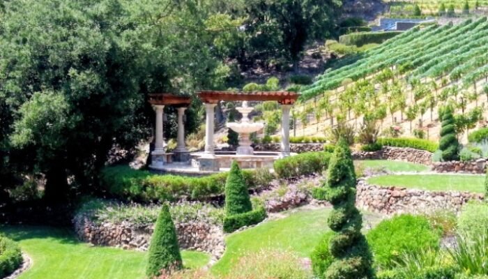 Screenshot_20260221-234906~2